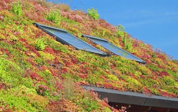 Thorp Arch living roof systems